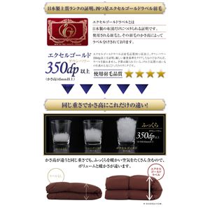 布団8点セット シングル【ベッドタイプ】カラー:アイボリー 日本製 防カビ消臭 エクセルゴールドラベル洗えるフランス産ダックダウン90% Lucia ルチア 布団8点セット シングル【ベッドタイプ】カラー:アイボリー 日本製 防カビ消臭 エクセルゴールドラベル洗えるフランス産ダックダウン90% Lucia ルチア