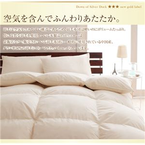 布団8点セット シングル【ベッドタイプ】カラー:アイボリー 日本製防カビ消臭 ダックダウン ニューゴールドラベル 羽毛布団セット Alice アリーチェ 布団8点セット シングル【ベッドタイプ】カラー:アイボリー 日本製防カビ消臭 ダックダウン ニューゴールドラベル 羽毛布団セット Alice アリーチェ