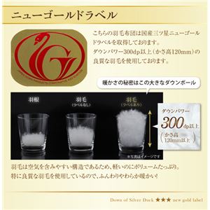 布団8点セット シングル【ベッドタイプ】カラー:アイボリー 日本製防カビ消臭 ダックダウン ニューゴールドラベル 羽毛布団セット Alice アリーチェ 布団8点セット シングル【ベッドタイプ】カラー:アイボリー 日本製防カビ消臭 ダックダウン ニューゴールドラベル 羽毛布団セット Alice アリーチェ