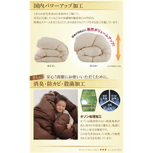 布団8点セット シングル【ベッドタイプ】カラー:アイボリー 日本製防カビ消臭 ダックダウン ニューゴールドラベル 羽毛布団セット Alice アリーチェ 布団8点セット シングル【ベッドタイプ】カラー:アイボリー 日本製防カビ消臭 ダックダウン ニューゴールドラベル 羽毛布団セット Alice アリーチェ