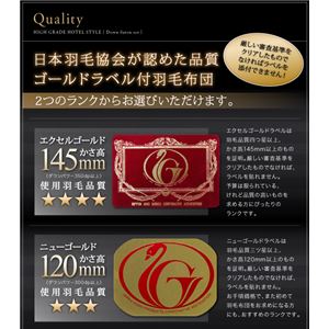 掛布団&掛カバーセット クイーン【エクセルゴールドラベル】カラー:シルバーアッシュ 高級ホテルスタイル 商品写真3