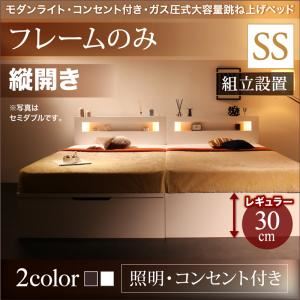 【組立設置費込】収納ベッド セミシングル 縦開き 深さレギュラー 【フレームのみ】 フレームカラー：ダークブラウン  モダンライトガス圧式跳ね上げ収納ベッド Lunalight ルナライト