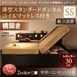 【組立設置費込】 収納ベッド セミシングル 横開き 深さレギュラー 【薄型スタンダードボンネルコイルマットレス付】 フレームカラー：ダークブラウン  モダンライトガス圧式跳ね上げ収納ベッド Lunalight ルナライト