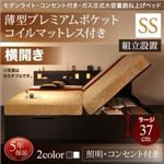 【組立設置費込】 収納ベッド セミシングル 横開き 深さラージ 【薄型プレミアムポケットコイルマットレス付】 フレームカラー：ホワイト  モダンライトガス圧式跳ね上げ収納ベッド Lunalight ルナライト