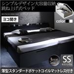 収納ベッド セミシングル 横開き 深さラージ 【薄型スタンダードポケットコイルマットレス付】 フレームカラー：ブラック  シンプルデザイン大容量収納跳ね上げ式ベッド Fermer フェルマー