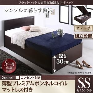 【組立設置費込】 収納ベッド セミシングル 縦開き 深さレギュラー 【薄型プレミアムボンネルコイルマットレス付】 フレームカラー：ダークブラウン  フラットヘッド大容量収納跳ね上げベッド Salomon サロモン