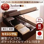 【組立設置費込】 収納ベッド セミシングル 縦開き 深さレギュラー 【薄型プレミアムポケットコイルマットレス付】 フレームカラー：ナチュラル 開閉タイプが選べるガス圧式跳ね上げ収納ベッド 夕月 ユフヅキ