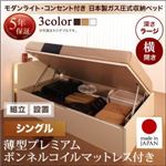 【組立設置費込】 収納ベッド シングル 横開き 深さラージ 【薄型プレミアムボンネルコイルマットレス付】 フレームカラー：ダークブラウン 開閉タイプが選べるガス圧式跳ね上げ収納ベッド 夕月 ユフヅキ