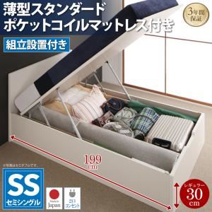 【組立設置費込】 収納ベッド セミシングル 深さレギュラー 【薄型スタンダードポケットコイルマットレス付】 フレームカラー：ダークブラウン フラットヘッドコンセント付跳ね上げ収納ベッド Mulante ムランテ