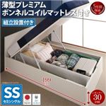 【組立設置費込】 収納ベッド セミシングル 深さレギュラー 【薄型プレミアムボンネルコイルマットレス付】 フレームカラー：ダークブラウン フラットヘッドコンセント付跳ね上げ収納ベッド Mulante ムランテ