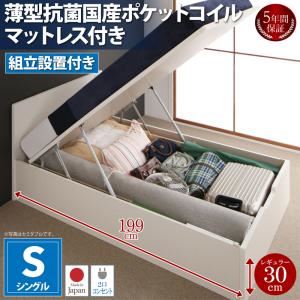 【組立設置費込】 収納ベッド シングル 深さレギュラー 【薄型抗菌国産ポケットコイルマットレス付】 フレームカラー：ダークブラウン フラットヘッドコンセント付跳ね上げ収納ベッド Mulante ムランテ