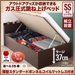 【組立設置費込】 収納ベッド セミシングル 深さラージ 【薄型スタンダードボンネルコイルマットレス付】 フレームカラー：ダークブラウン アウトドア収納跳ね上げベッド Matterhorn マッターホルン