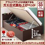 【組立設置費込】 収納ベッド セミシングル 深さラージ 【薄型スタンダードポケットコイルマットレス付】 フレームカラー：ダークブラウン アウトドア収納跳ね上げベッド Matterhorn マッターホルン