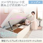 収納ベッド シングル 横開き 深さラージ/ショート丈 【薄型プレミアムボンネルコイルマットレス付】 フレームカラー：ホワイト お客様組立 コンパクトな跳ね上げ式収納 ベッド Avari アヴァリ