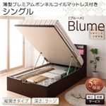 【組立設置費込】 収納ベッド シングル 縦開き 深さラージ 【薄型プレミアムボンネルコイルマットレス付】 フレームカラー：ホワイト 開閉・深さが選べるガス圧式跳ね上げ収納ベッド Blume ブルーメ