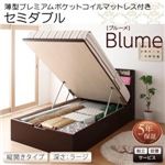 【組立設置費込】 収納ベッド セミダブル 縦開き 深さラージ 【薄型プレミアムポケットコイルマットレス付】 フレームカラー：ホワイト 開閉・深さが選べるガス圧式跳ね上げ収納ベッド Blume ブルーメ