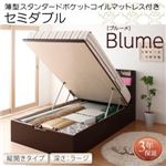 収納ベッド セミダブル 縦開き 深さラージ 【薄型スタンダードポケットコイルマットレス付】 フレームカラー：ホワイト お客様組立 開閉・深さが選べるガス圧式跳ね上げ収納ベッド Blume ブルーメ