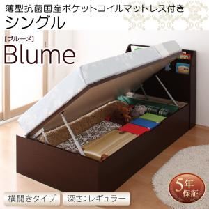 収納ベッド シングル 横開き 深さレギュラー 【薄型抗菌国産ポケットコイルマットレス付】 フレームカラー：ホワイト お客様組立 開閉・深さが選べるガス圧式跳ね上げ収納ベッド Blume ブルーメ