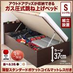 【組立設置費込】 収納ベッド シングル 深さラージ  【薄型スタンダードポケットコイルマットレス付】 フレームカラー：ダークブラウン  アウトドア収納跳ね上げベッド Matterhorn マッターホルン