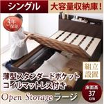 【組立設置費込】 収納ベッド シングル 深さラージ  【薄型スタンダードポケットコイルマットレス付】 フレームカラー：ダークブラウン  シンプル大容量収納庫付きすのこベッド Open Storage オープンストレージ