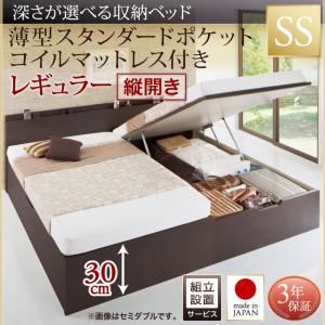 【組立設置費込】収納ベッド【縦開き】 セミシングル 深さレギュラー【薄型スタンダードポケットコイルマットレス付】フレームカラー：ダークブラウン国産跳ね上げ収納ベッド Renati-DB レナーチ ダークブラウン