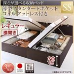 【組立設置費込】収納ベッド【横開き】 セミシングル 深さレギュラー【薄型スタンダードポケットコイルマットレス付】フレームカラー：ダークブラウン国産跳ね上げ収納ベッド Renati-DB レナーチ ダークブラウン