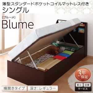 【組立設置費込】収納ベッド【横開き】 シングル 深さレギュラー【薄型スタンダードポケットコイルマットレス付】フレームカラー：ホワイト開閉・深さが選べるガス圧式跳ね上げ収納ベッド Blume ブルーメ