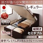 【組立設置費込】 収納ベッド 【縦開き】 セミダブル 深さレギュラー   【薄型プレミアムボンネルコイルマットレス付】 フレームカラー：ダークブラウン  国産跳ね上げ収納ベッド Clory クローリー