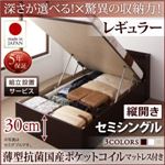 【組立設置費込】 収納ベッド 【縦開き】 セミシングル 深さレギュラー   【薄型抗菌国産ポケットコイルマットレス付】 フレームカラー：ホワイト  国産跳ね上げ収納ベッド Clory クローリー