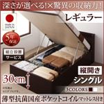 【組立設置費込】 収納ベッド 【縦開き】 シングル 深さレギュラー   【薄型抗菌国産ポケットコイルマットレス付】 フレームカラー：ダークブラウン  国産跳ね上げ収納ベッド Clory クローリー