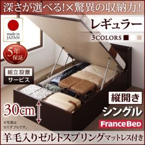 【組立設置費込】 収納ベッド 【縦開き】 シングル 深さレギュラー   【羊毛入りゼルトスプリングマットレス付】 フレームカラー：ダークブラウン  国産跳ね上げ収納ベッド Clory クローリー