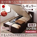 お客様組立 収納ベッド 【縦開き】 シングル 深さレギュラー   【羊毛入りゼルトスプリングマットレス付】 フレームカラー：ダークブラウン  国産跳ね上げ収納ベッド Clory クローリー