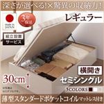 【組立設置費込】 収納ベッド 【横開き】 セミシングル 深さレギュラー   【薄型スタンダードポケットコイルマットレス付】 フレームカラー：ダークブラウン  国産跳ね上げ収納ベッド Regless リグレス