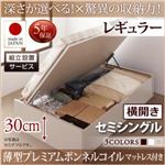 【組立設置費込】 収納ベッド 【横開き】 セミシングル 深さレギュラー   【薄型プレミアムボンネルコイルマットレス付】 フレームカラー：ダークブラウン  国産跳ね上げ収納ベッド Regless リグレス