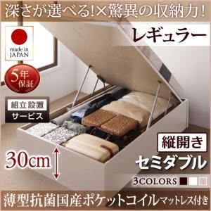 【組立設置費込】 収納ベッド 【縦開き】 セミダブル 深さレギュラー   【薄型抗菌国産ポケットコイルマットレス付】 フレームカラー：ダークブラウン  国産跳ね上げ収納ベッド Regless リグレス