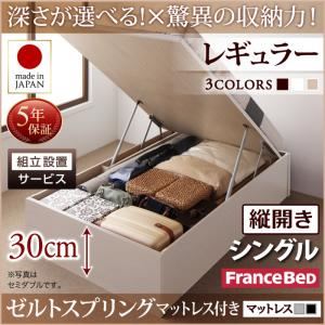 【組立設置費込】 収納ベッド 【縦開き】 シングル 深さレギュラー   【ゼルトスプリングマットレス付】 フレームカラー：ダークブラウン マットレスカラー：グレー 国産跳ね上げ収納ベッド Regless リグレス