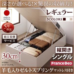 【組立設置費込】 収納ベッド 【縦開き】 シングル 深さレギュラー   【羊毛入りゼルトスプリングマットレス付】 フレームカラー：ダークブラウン  国産跳ね上げ収納ベッド Regless リグレス