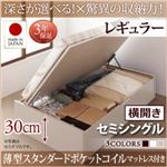 お客様組立 収納ベッド 【横開き】 セミシングル 深さレギュラー   【薄型スタンダードポケットコイルマットレス付】 フレームカラー：ダークブラウン  国産跳ね上げ収納ベッド Regless リグレス