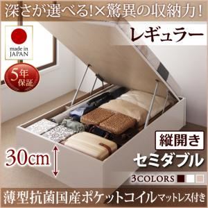 お客様組立 収納ベッド 【縦開き】 セミダブル 深さレギュラー   【薄型抗菌国産ポケットコイルマットレス付】 フレームカラー：ダークブラウン  国産跳ね上げ収納ベッド Regless リグレス