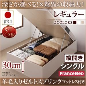 お客様組立 収納ベッド 【縦開き】 シングル 深さレギュラー   【羊毛入りゼルトスプリングマットレス付】 フレームカラー：ダークブラウン  国産跳ね上げ収納ベッド Regless リグレス