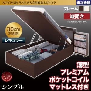 【組立設置費込】跳ね上げ収納ベッド 【縦開き】シングル 深さレギュラー【薄型プレミアムポケットコイルマットレス付】フレームカラー：ダークブラウン マットレスカラー：ホワイト 組立設置付 スライド収納_大容量ガス圧式跳ね上げベッド Many-IN メニーイン