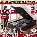 【組立設置費込】跳ね上げ収納ベッド 【縦開き】セミダブル 深さレギュラー【薄型スタンダードボンネルコイルマットレス付】フレームカラー：ダークブラウン マットレスカラー：ホワイト 組立設置付 簡単組立らくらく搬入ガス圧跳ね上げ収納ベッド Mysel マイセル