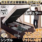 お客様組立 収納ベッド 【縦開き】 シングル 深さレギュラー 【薄型スタンダードポケットコイルマットレス付】 フレームカラー：ダークブラウン マットレスカラー：ホワイト 搬入楽々棚コンセント跳ね上げベッド Free-Gate フリーゲート