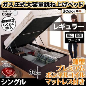 【組立設置費込】 収納ベッド 【縦開き】 シングル 深さレギュラー 【薄型プレミアムボンネルコイルマットレス付】 フレームカラー：ダークブラウン マットレスカラー：ホワイト 搬入楽々棚コンセント跳ね上げベッド Free-Gate フリーゲート