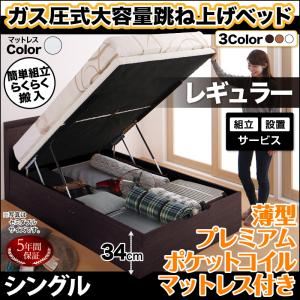 【組立設置費込】 収納ベッド 【縦開き】 シングル 深さレギュラー 【薄型プレミアムポケットコイルマットレス付】 フレームカラー：ダークブラウン マットレスカラー：ホワイト 搬入楽々棚コンセント跳ね上げベッド Free-Gate フリーゲート