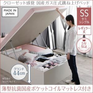 お客様組立 収納ベッド 【縦開き】セミシングル レギュラー丈 深さグランド 【薄型抗菌国産ポケットコイルマットレス付】 フレームカラー：ホワイト マットレスカラー：ホワイト クローゼット跳ね上げベッド aimable エマーブル