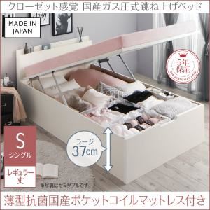 お客様組立 収納ベッド 【縦開き】シングル レギュラー丈 深さラージ 【薄型抗菌国産ポケットコイルマットレス付】 フレームカラー：ホワイト マットレスカラー：ホワイト クローゼット跳ね上げベッド aimable エマーブル