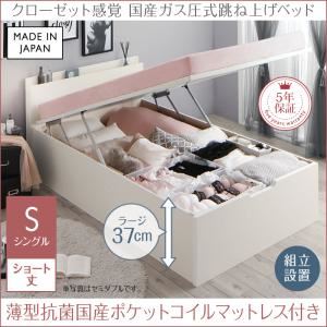 【組立設置費込】 収納ベッド 【縦開き】シングル ショート丈 深さラージ 【薄型抗菌国産ポケットコイルマットレス付】 フレームカラー：ホワイト マットレスカラー：ホワイト クローゼット跳ね上げベッド aimable エマーブル