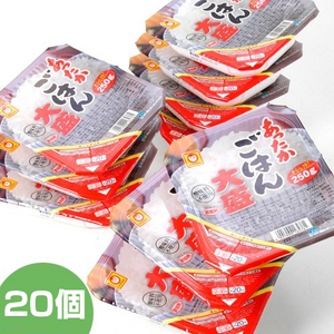 あったかごはん 大盛 250g 20個セット