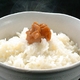 あったかごはん 大盛 250g 20個セット